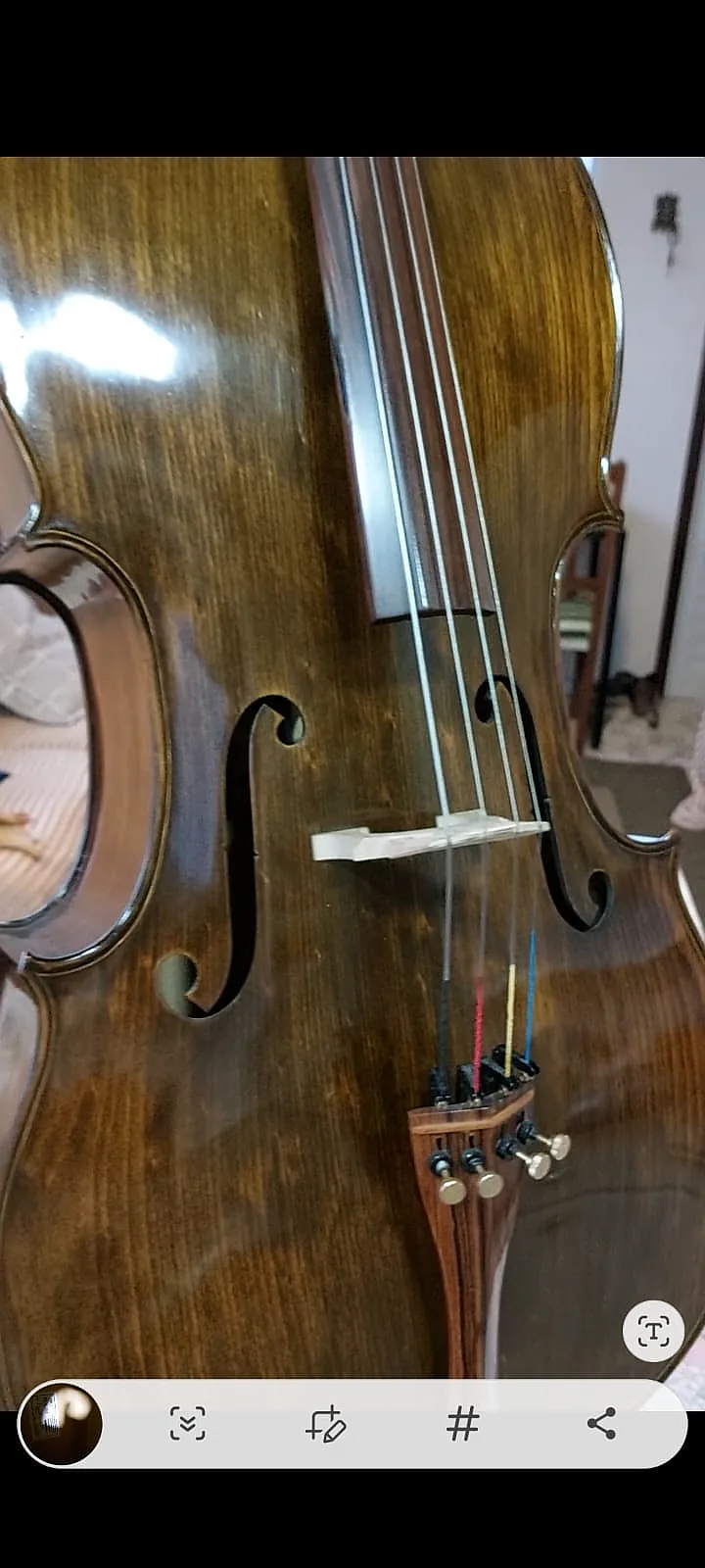 Foto 2 de Violoncelo Rolin Série Ouro filetado, fabricação 2022