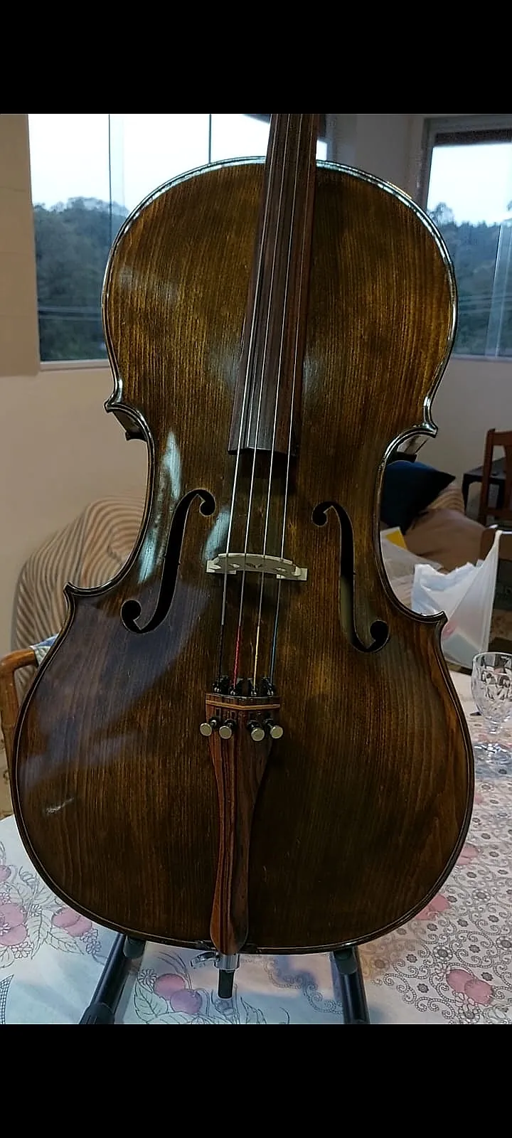 Foto 6 de Violoncelo Rolin Série Ouro filetado, fabricação 2022